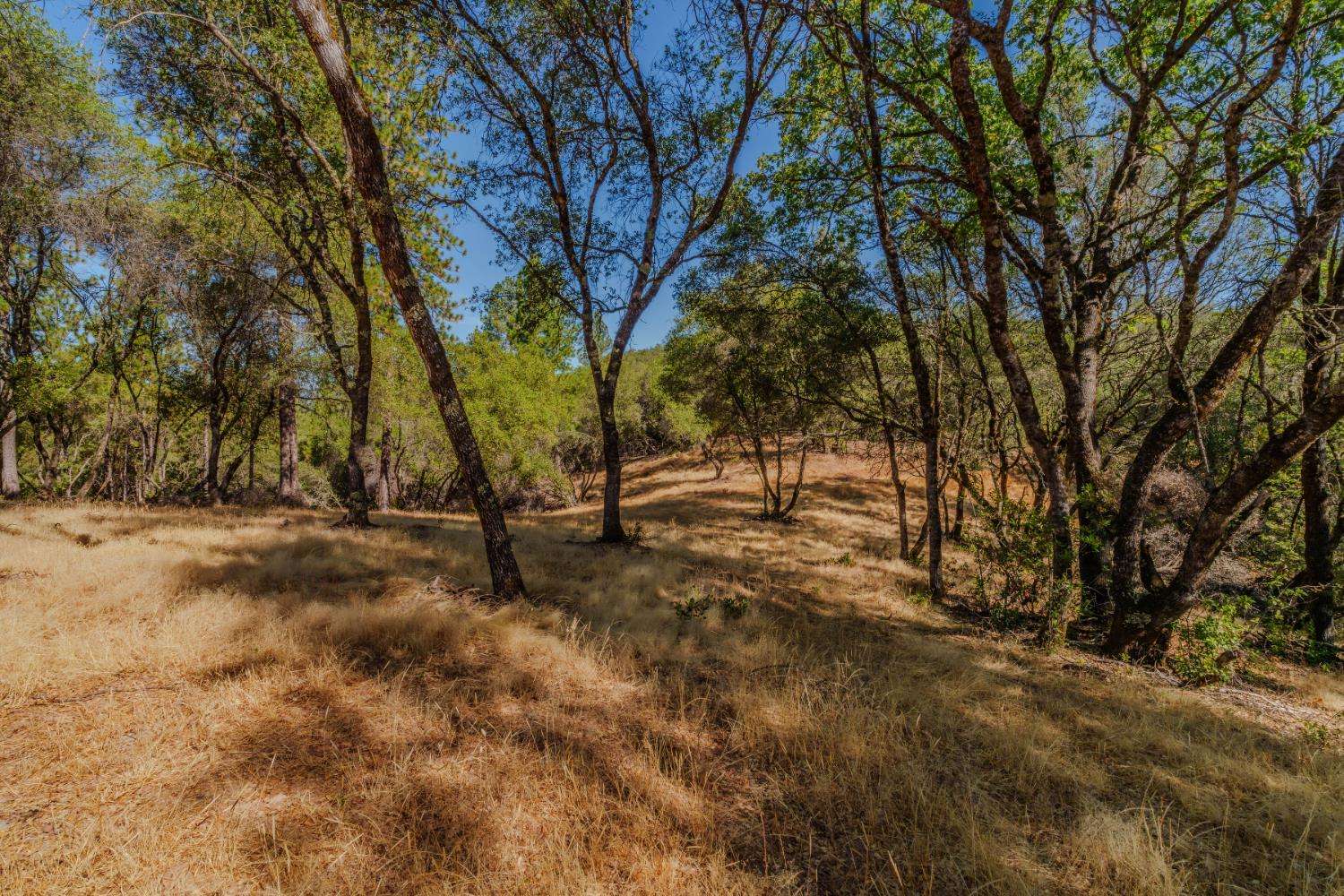 18862 American Flat Road Fiddletown, CA 95629 - Photo 12 of 37