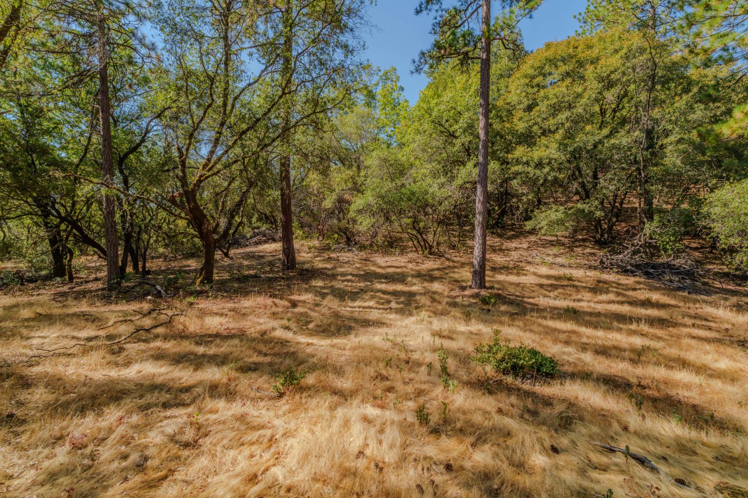 18862 American Flat Road Fiddletown, CA 95629 - Photo 14 of 37