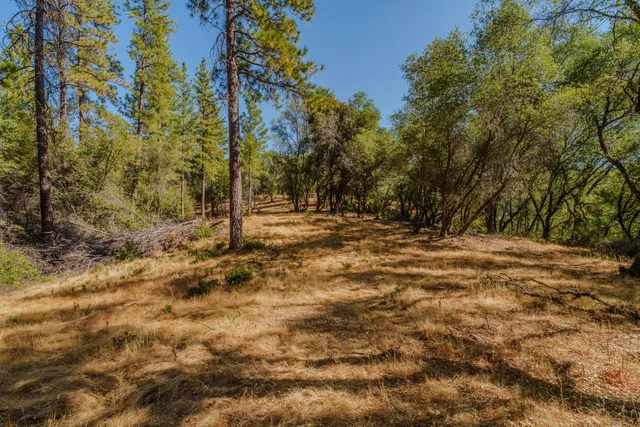 $299,000 | 18862 American Flat Road, Fiddletown, CA 95629