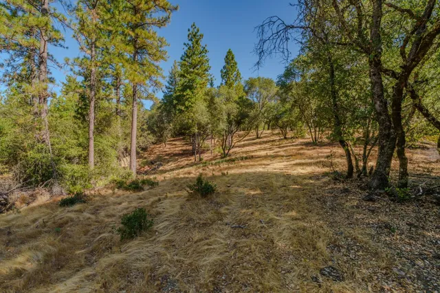 $299,000 | 18862 American Flat Road, Fiddletown, CA 95629