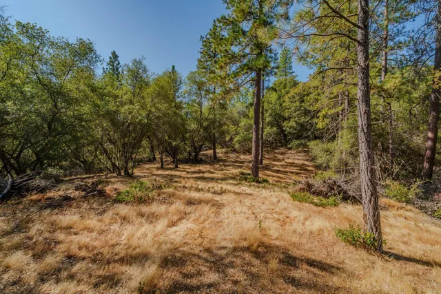 $299,000 | 18862 American Flat Road, Fiddletown, CA 95629