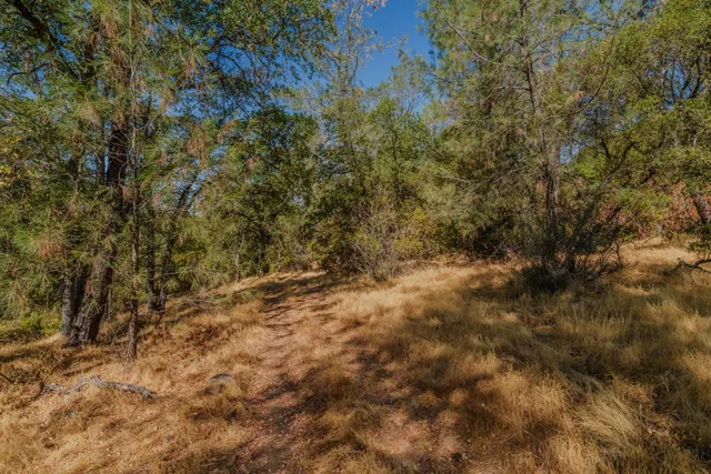 $299,000 | 18862 American Flat Road, Fiddletown, CA 95629