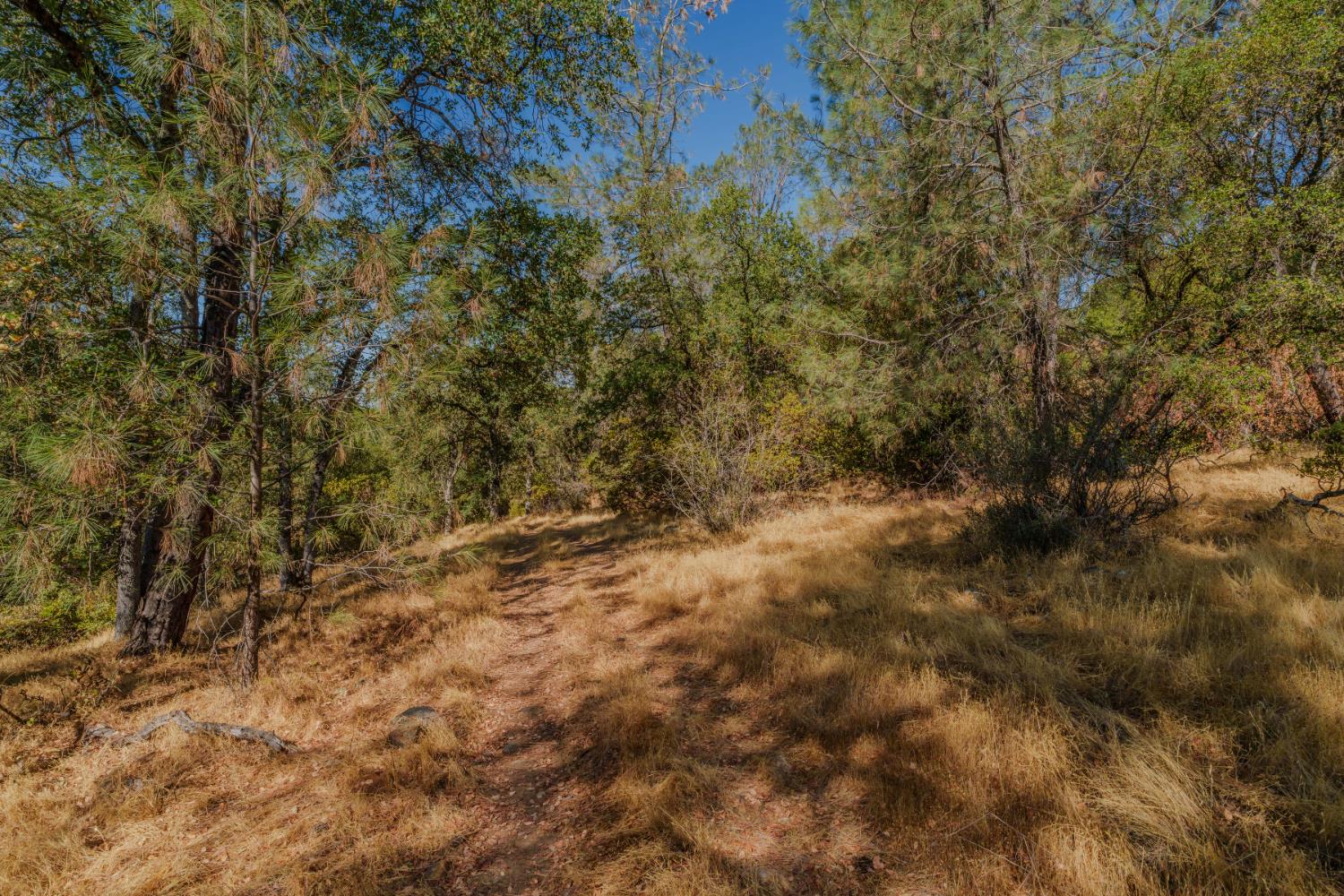 18862 American Flat Road Fiddletown, CA 95629 - Photo 20 of 37