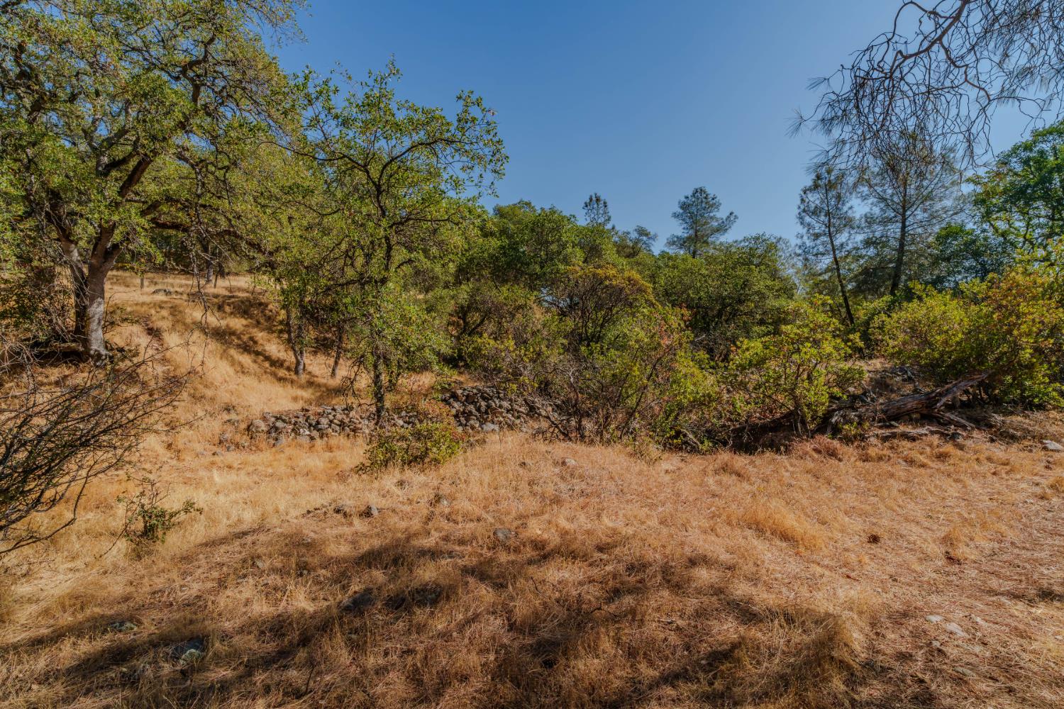 18862 American Flat Road Fiddletown, CA 95629 - Photo 22 of 37