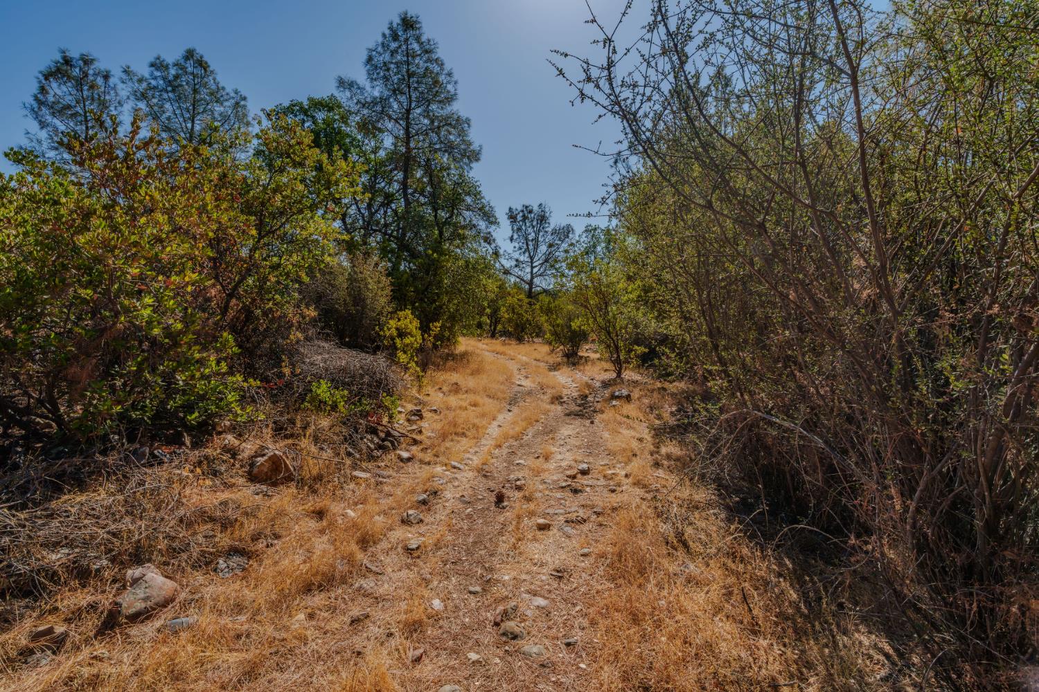 18862 American Flat Road Fiddletown, CA 95629 - Photo 24 of 37