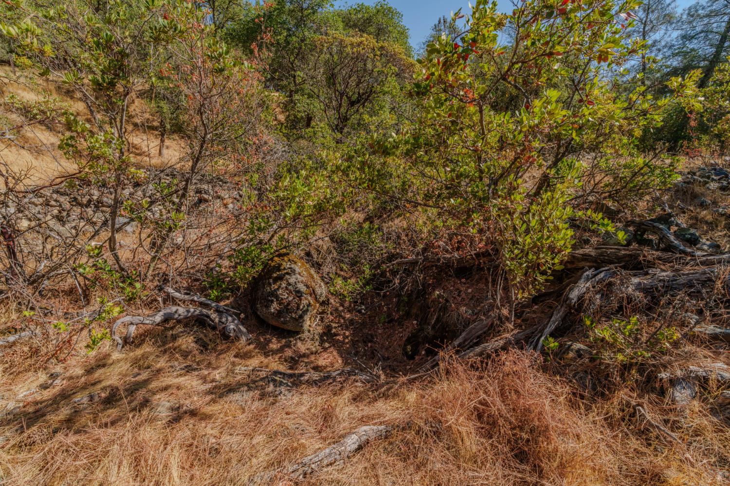 18862 American Flat Road Fiddletown, CA 95629 - Photo 26 of 37