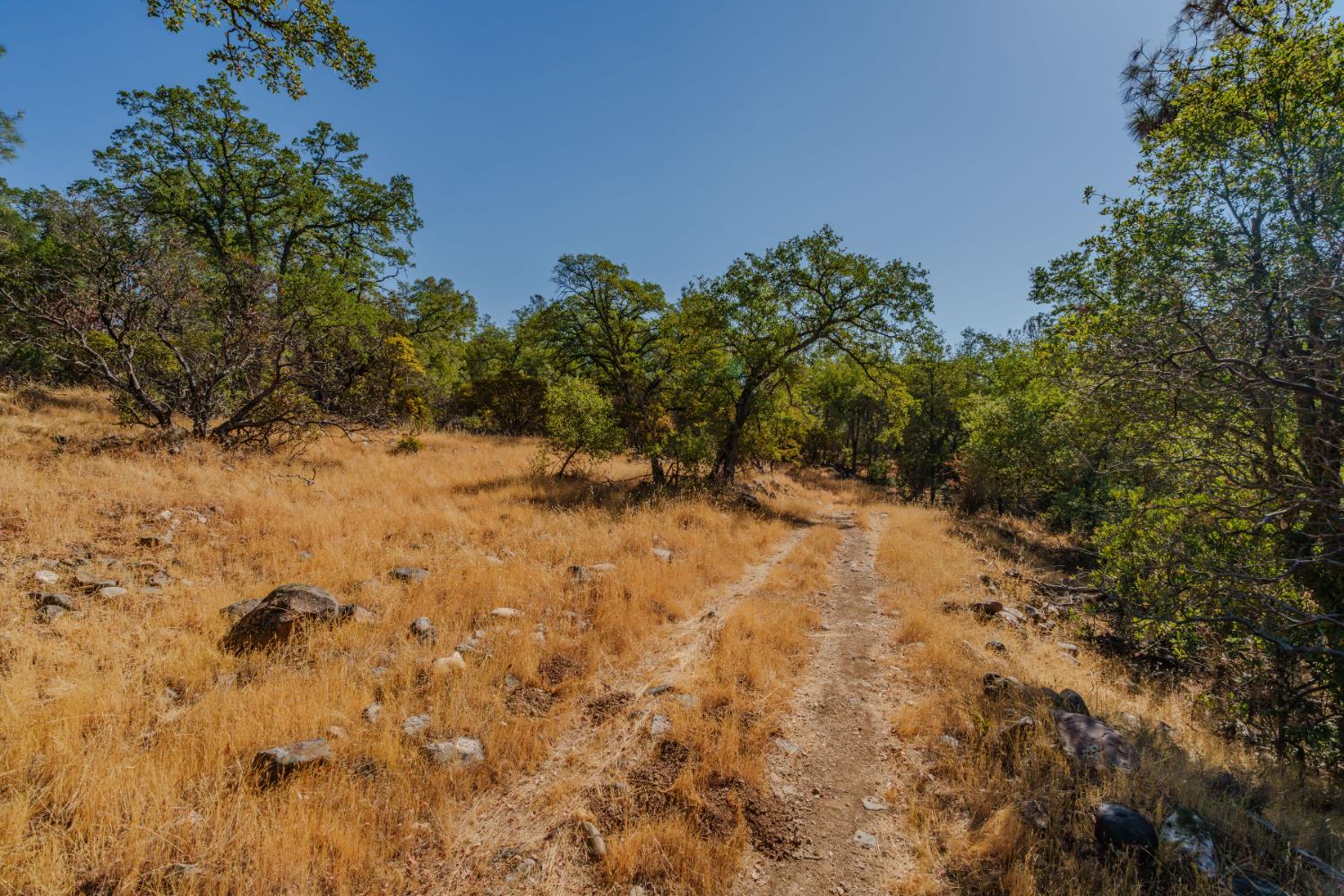 18862 American Flat Road Fiddletown, CA 95629 - Photo 27 of 37