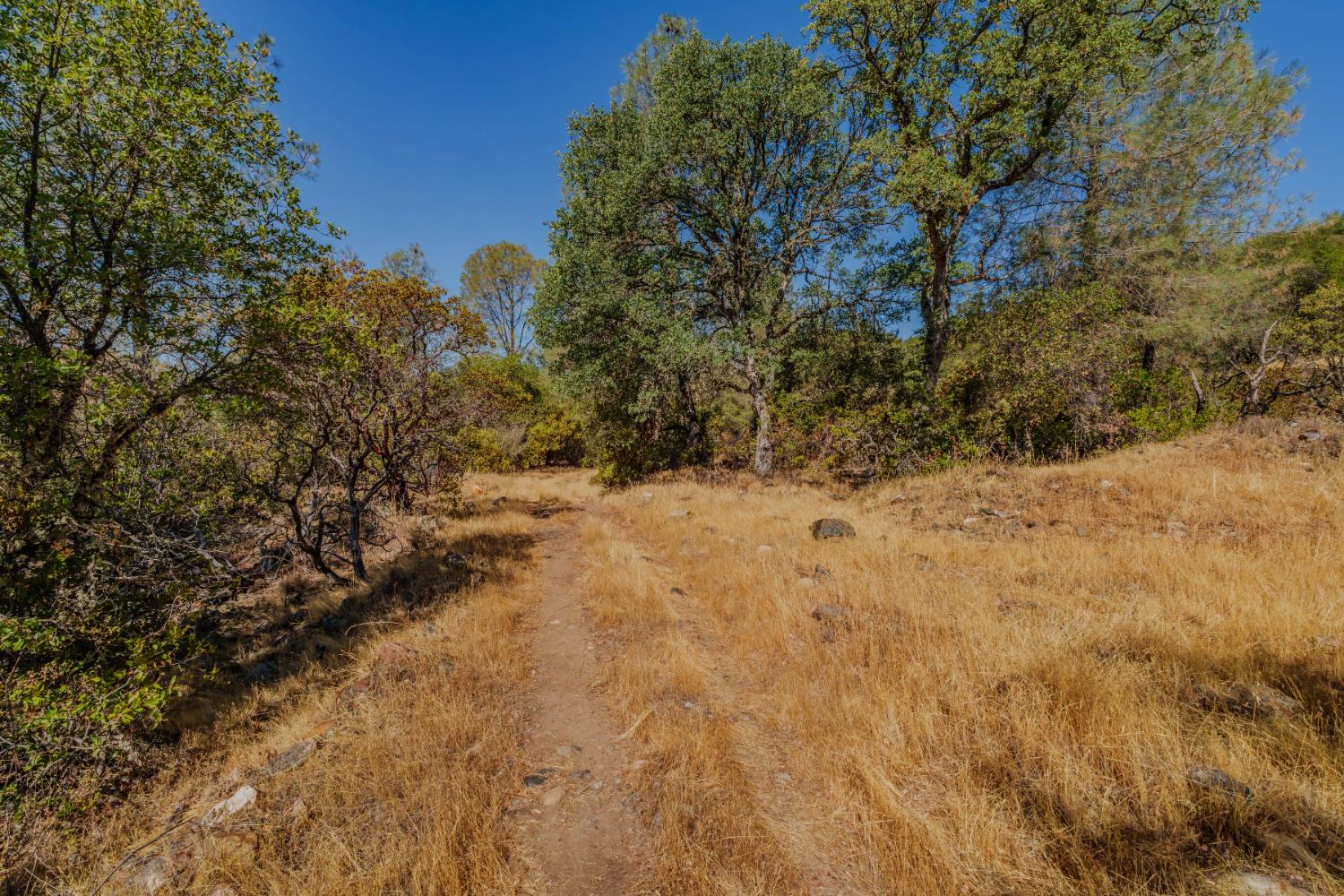 18862 American Flat Road Fiddletown, CA 95629 - Photo 28 of 37