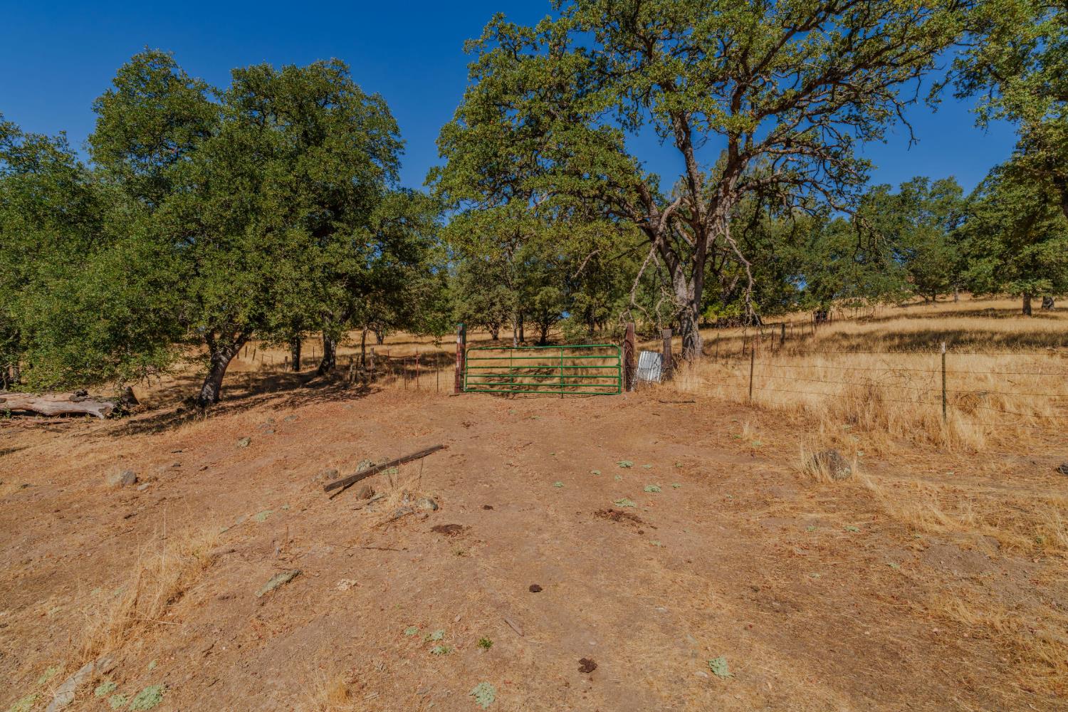 18862 American Flat Road Fiddletown, CA 95629 - Photo 29 of 37