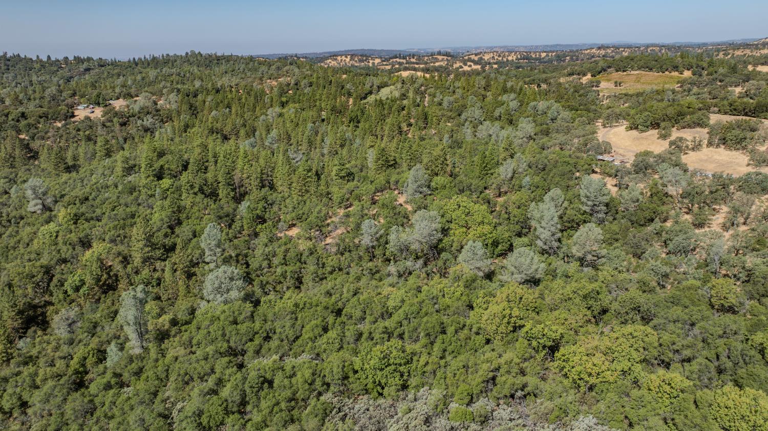 18862 American Flat Road Fiddletown, CA 95629 - Photo 31 of 37