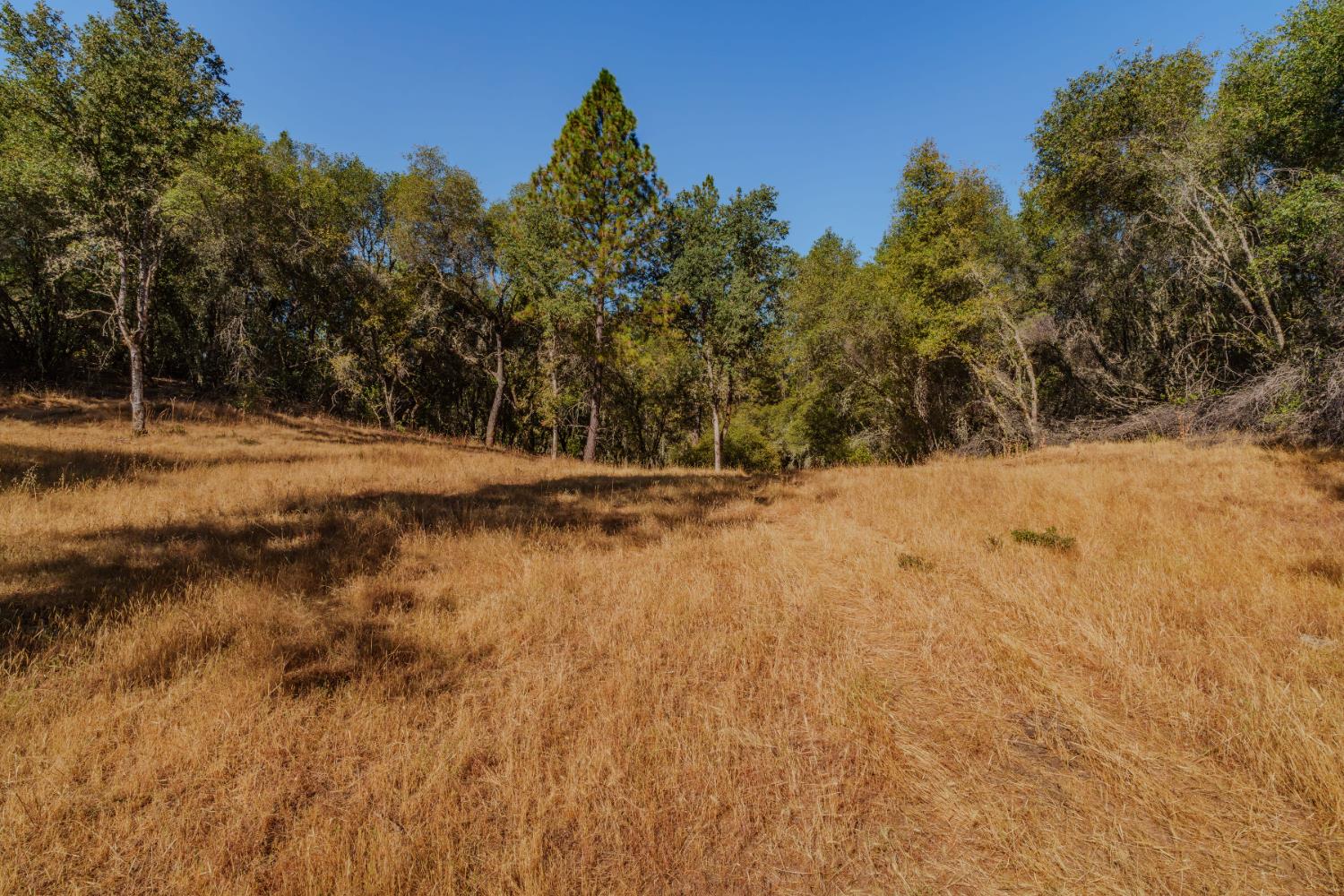 18862 American Flat Road Fiddletown, CA 95629 - Photo 6 of 37