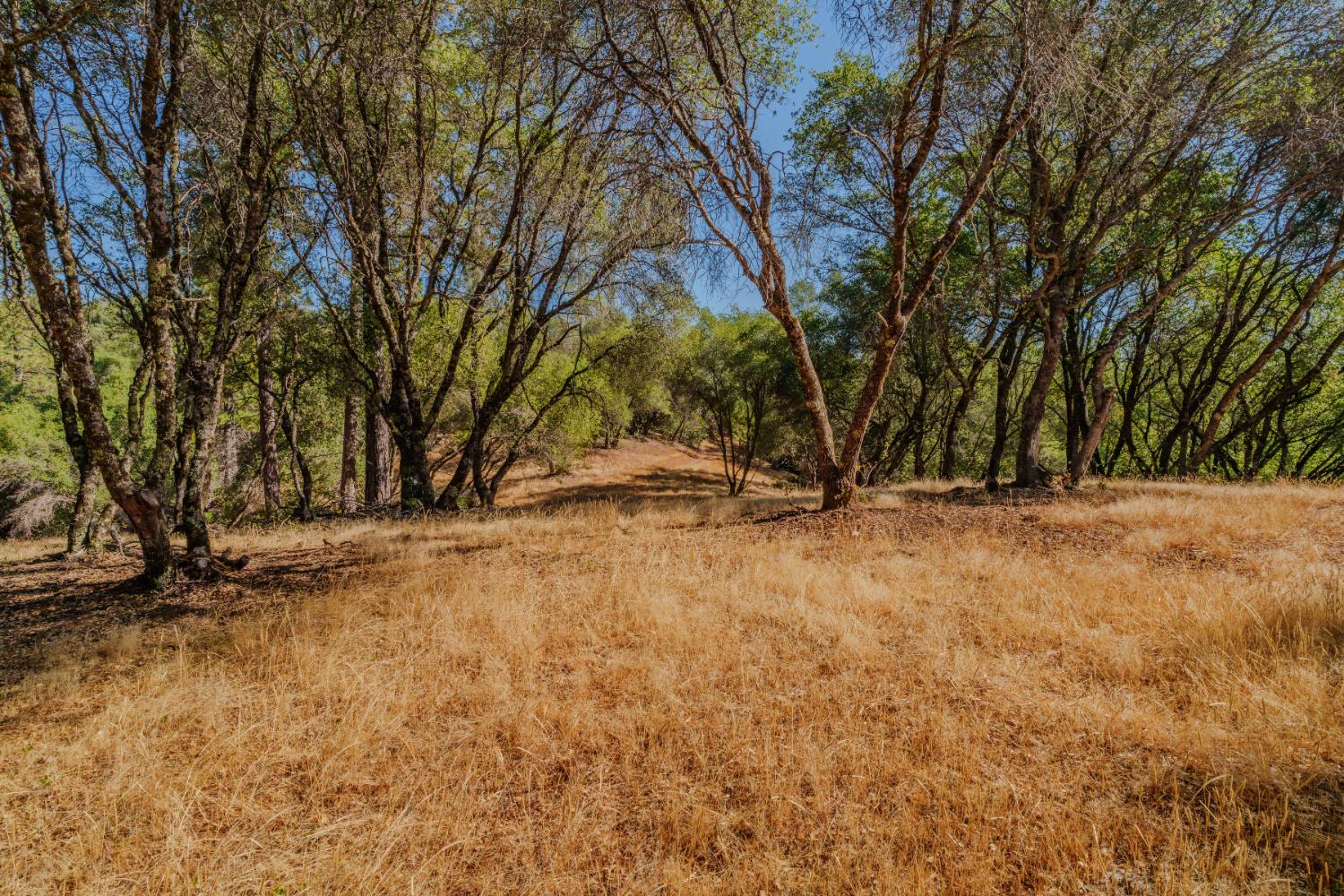 18862 American Flat Road Fiddletown, CA 95629 - Photo 8 of 37