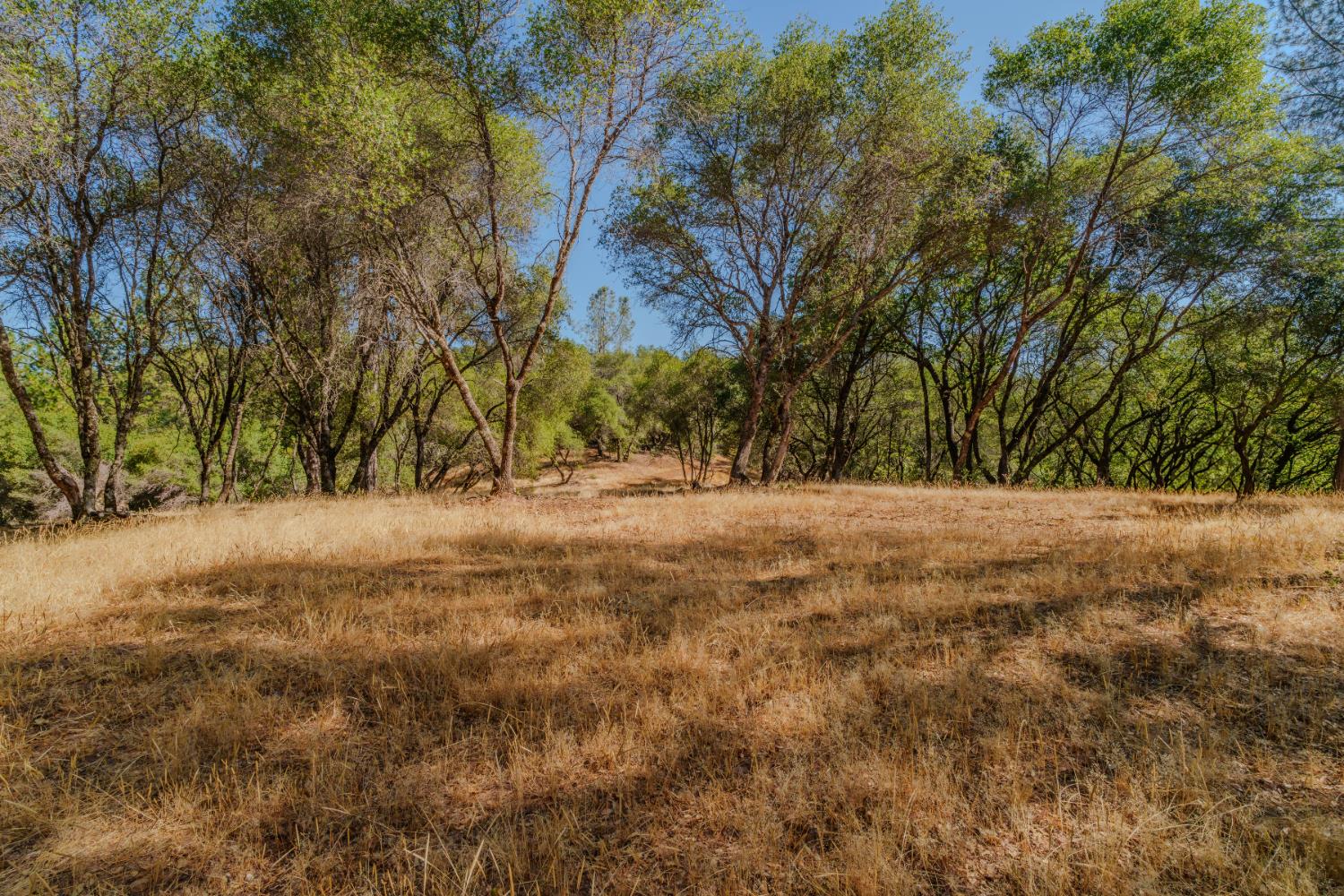 18862 American Flat Road Fiddletown, CA 95629 - Photo 9 of 37