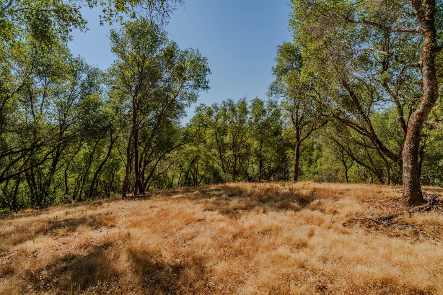 18862 American Flat Road Fiddletown, CA 95629 - Photo 10 of 37