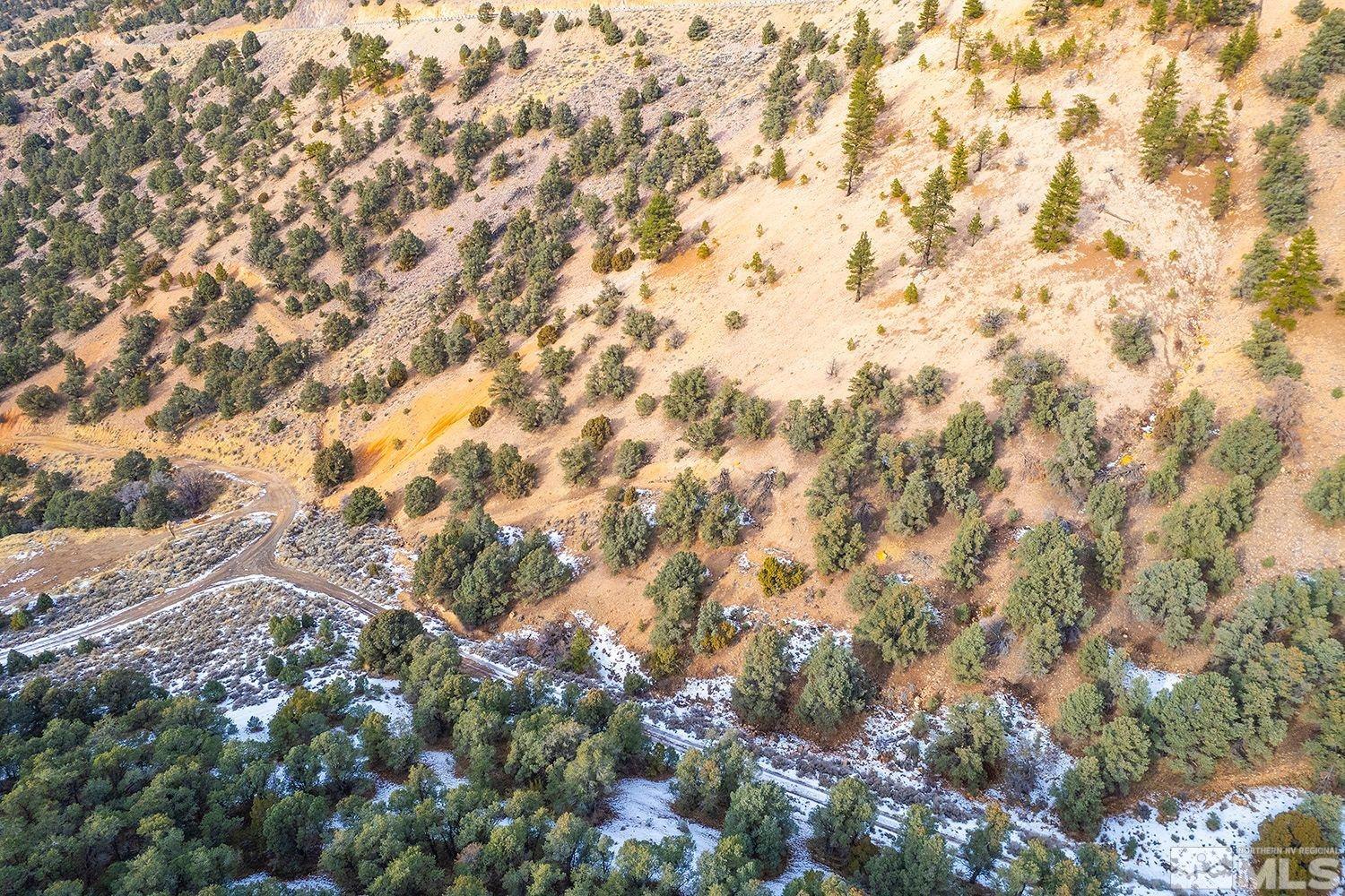 30 Toll Road, Unit 3 Reno, NV 89521 - Photo 4 of 7 a view of a yard