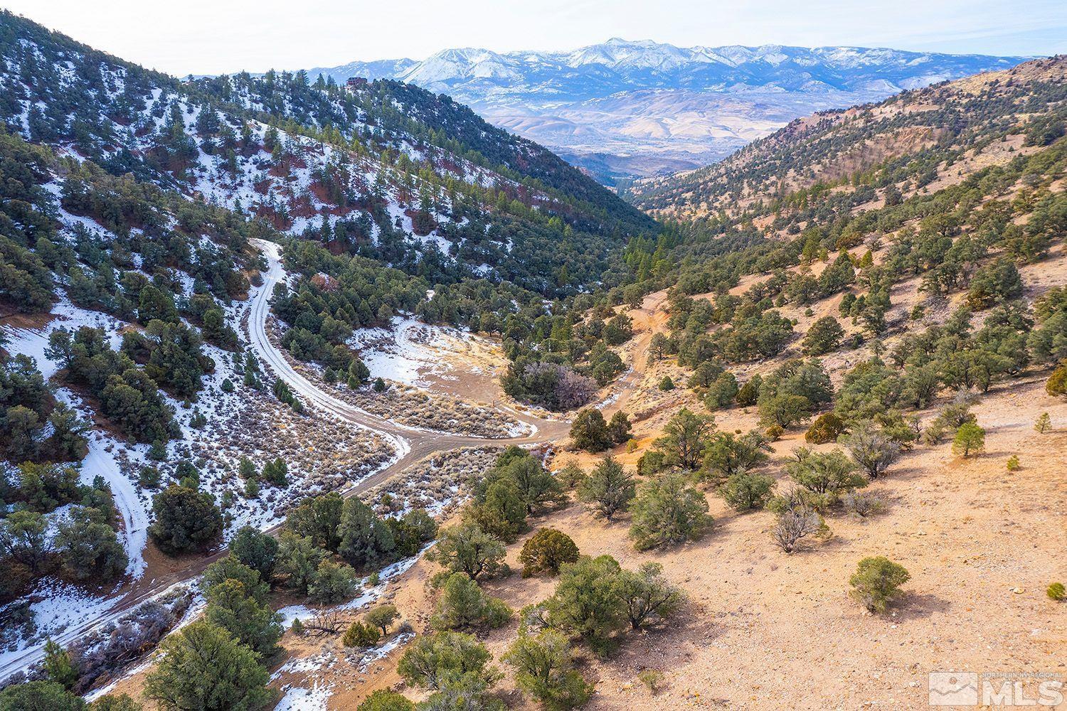 30 Toll Road, Unit 3 Reno, NV 89521 - Photo 5 of 7 a view of a tree with a mountain