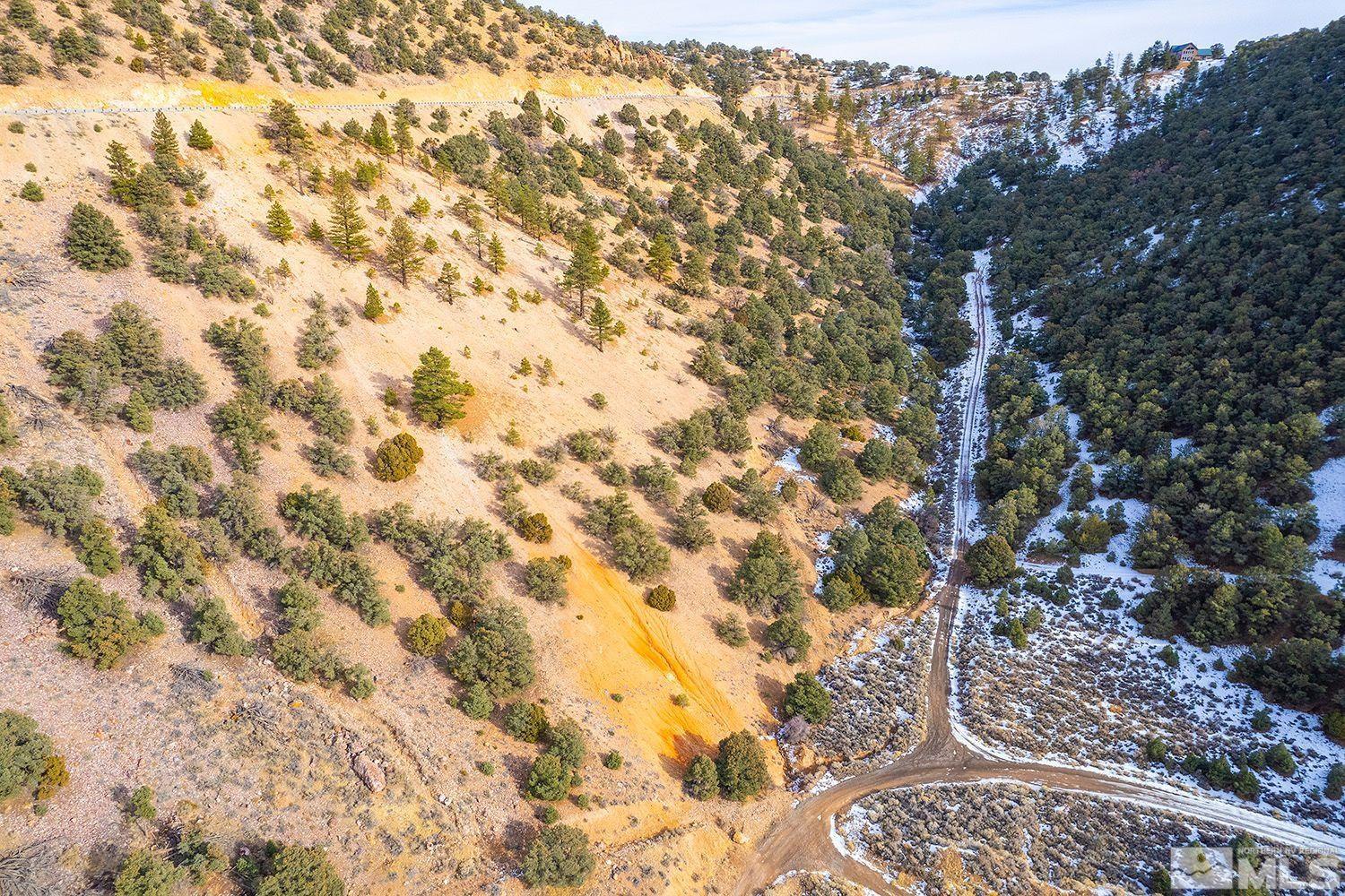 30 Toll Road, Unit 3 Reno, NV 89521 - Photo 6 of 7 a picture of a tree