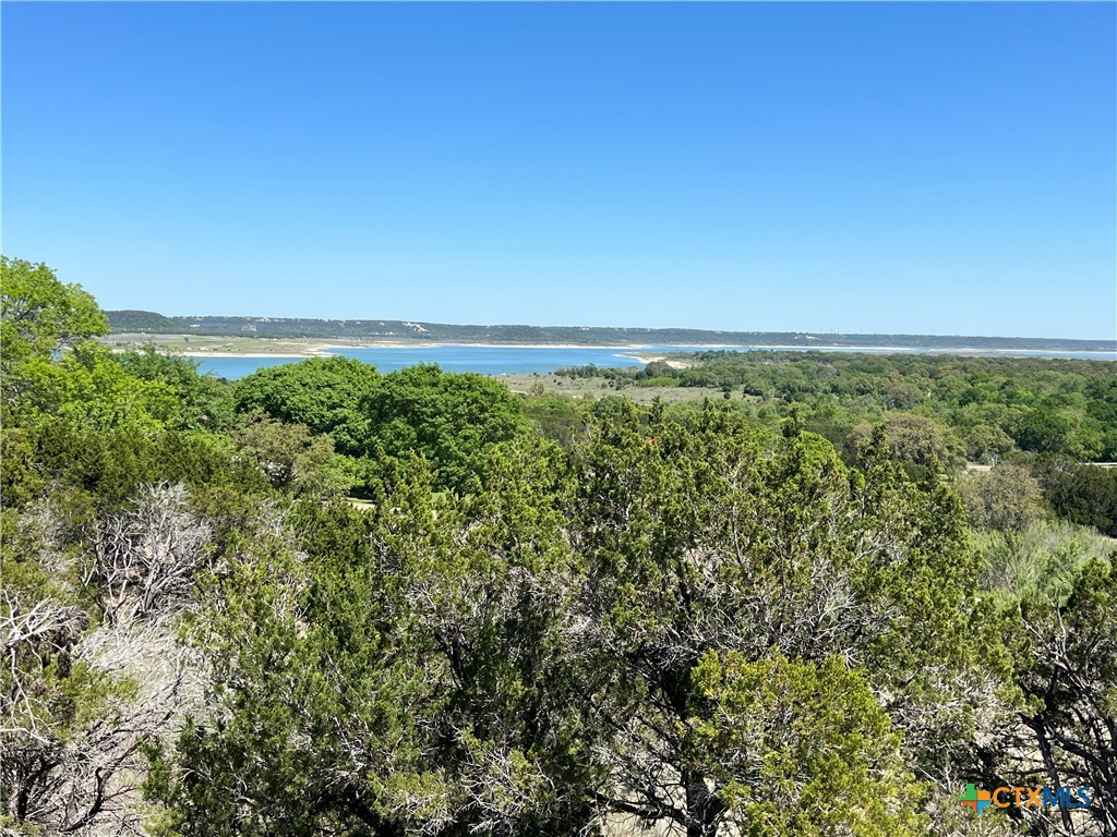 1226 Windy Hill Road Salado, TX 76571 - Photo 13 of 14 a view of a field with an ocean