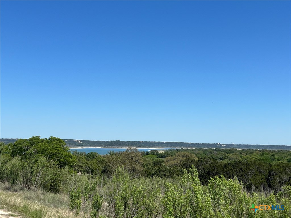 1226 Windy Hill Road Salado, TX 76571 - Photo 2 of 14 a view of a city with lush green forest