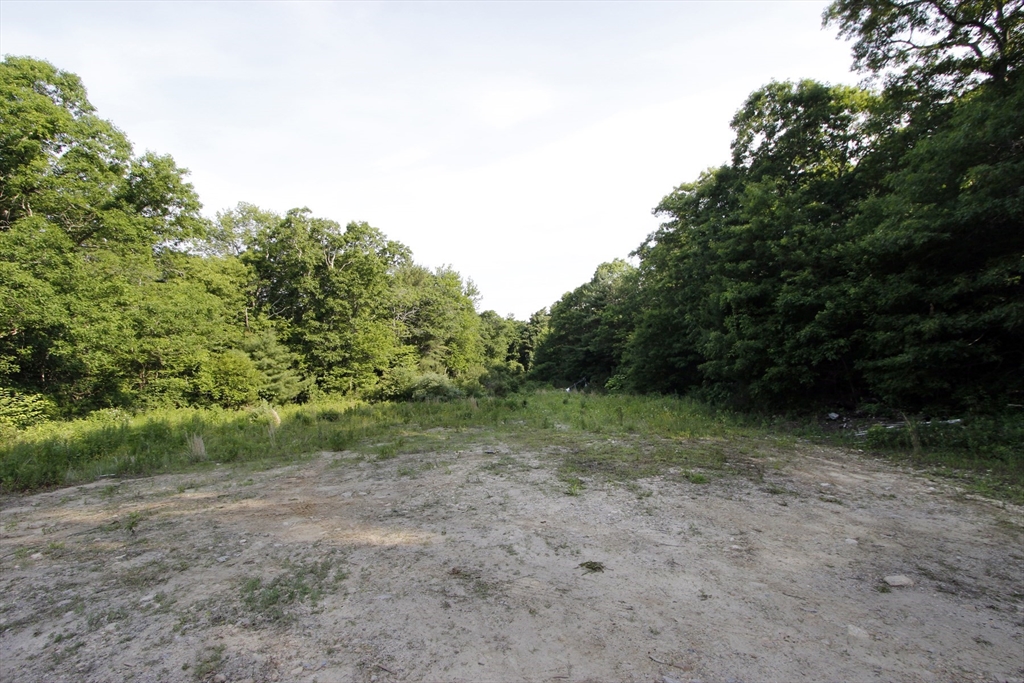 0 State Sagamore Beach, MA 02562 - Photo 2 of 12 a view of a yard with a tree