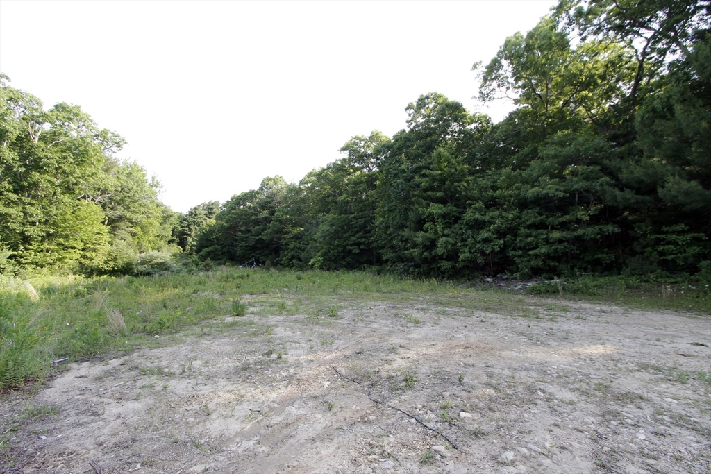 0 State Sagamore Beach, MA 02562 - Photo 3 of 12 a view of a yard with trees in background