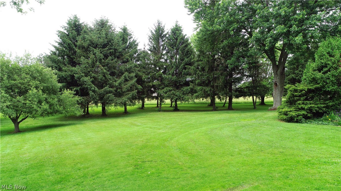 13839 Diagonal Road Salem, OH 44460 - Photo 29 of 35 Gallery Image 29