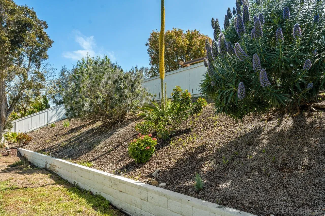 7914 Corte Cardo Carlsbad, CA 92009 - Photo 49 of 61