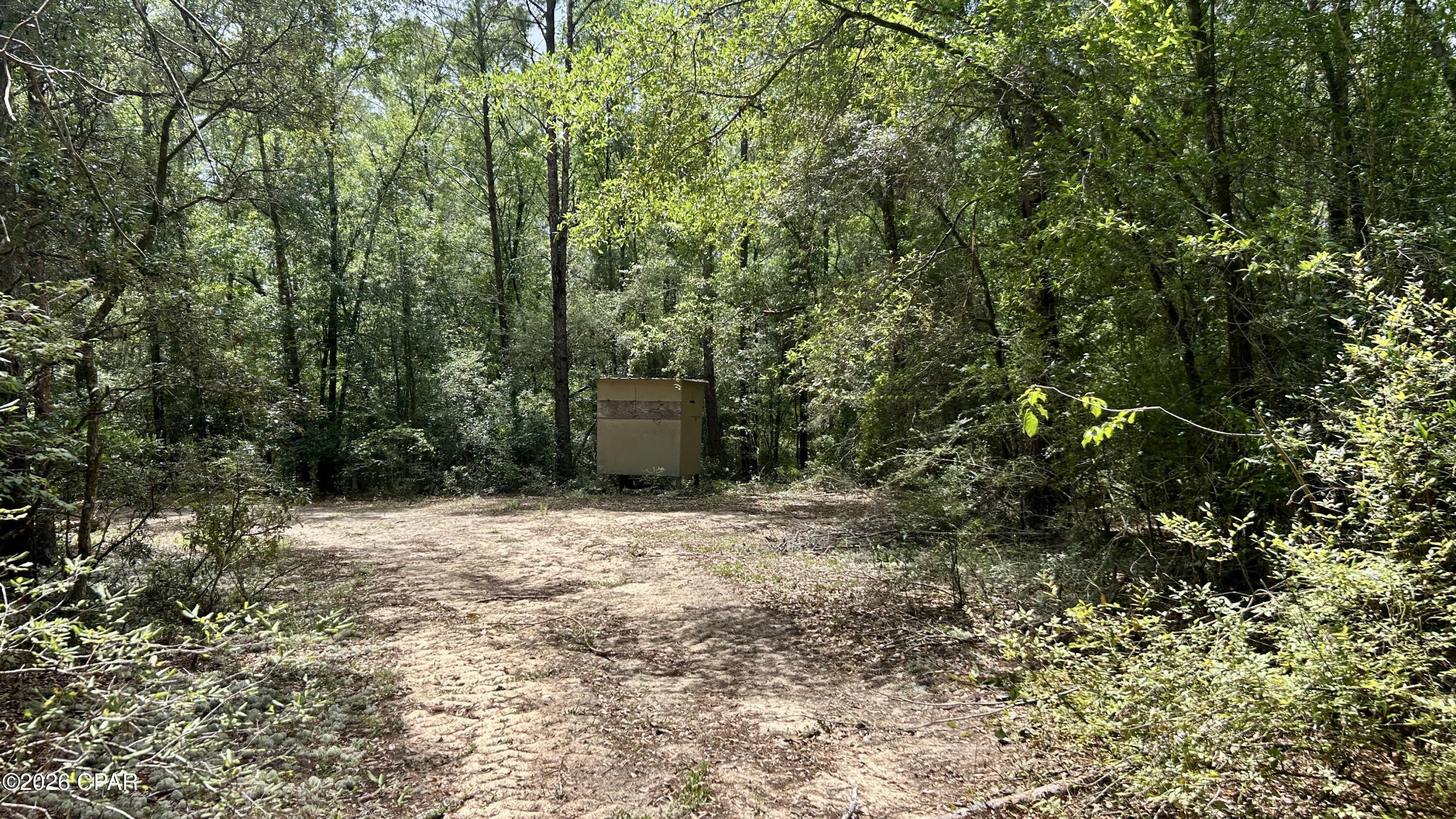 B Trawick Creek Road Holt, FL 32564 - Photo 10 of 27 Gallery Image 10