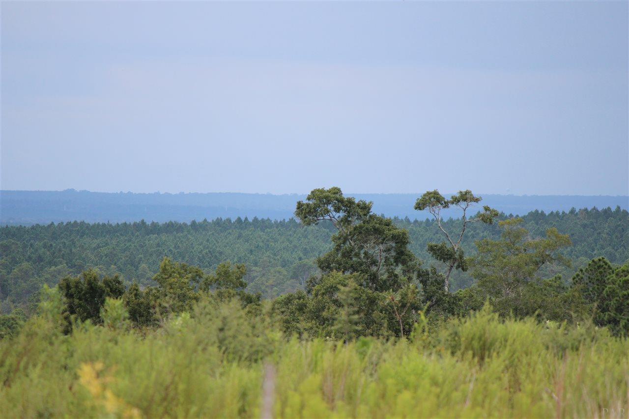 Lot 23-br Buffalo Ridge Road Pace, FL 32571 - Photo 3 of 3
