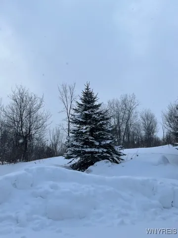 $50,000 | 0 North Street, Northville, NY 12134