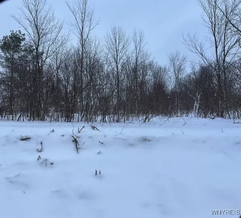 $50,000 | 0 North Street, Arcade, NY 14009