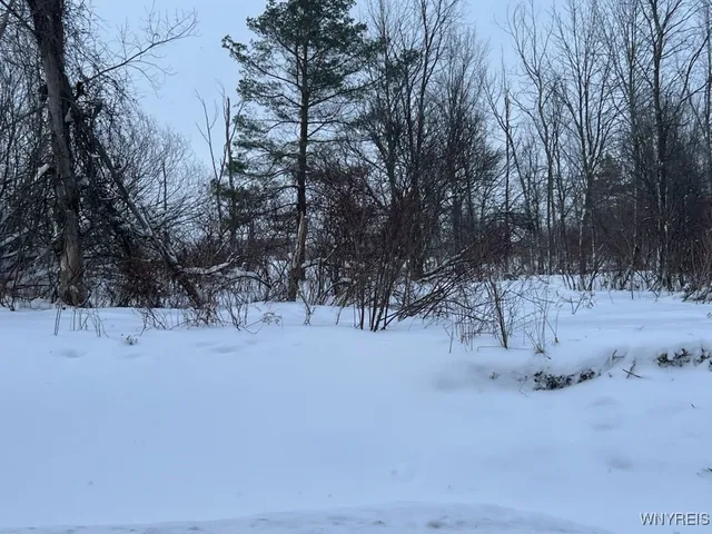 $50,000 | 0 North Street, Arcade, NY 14009