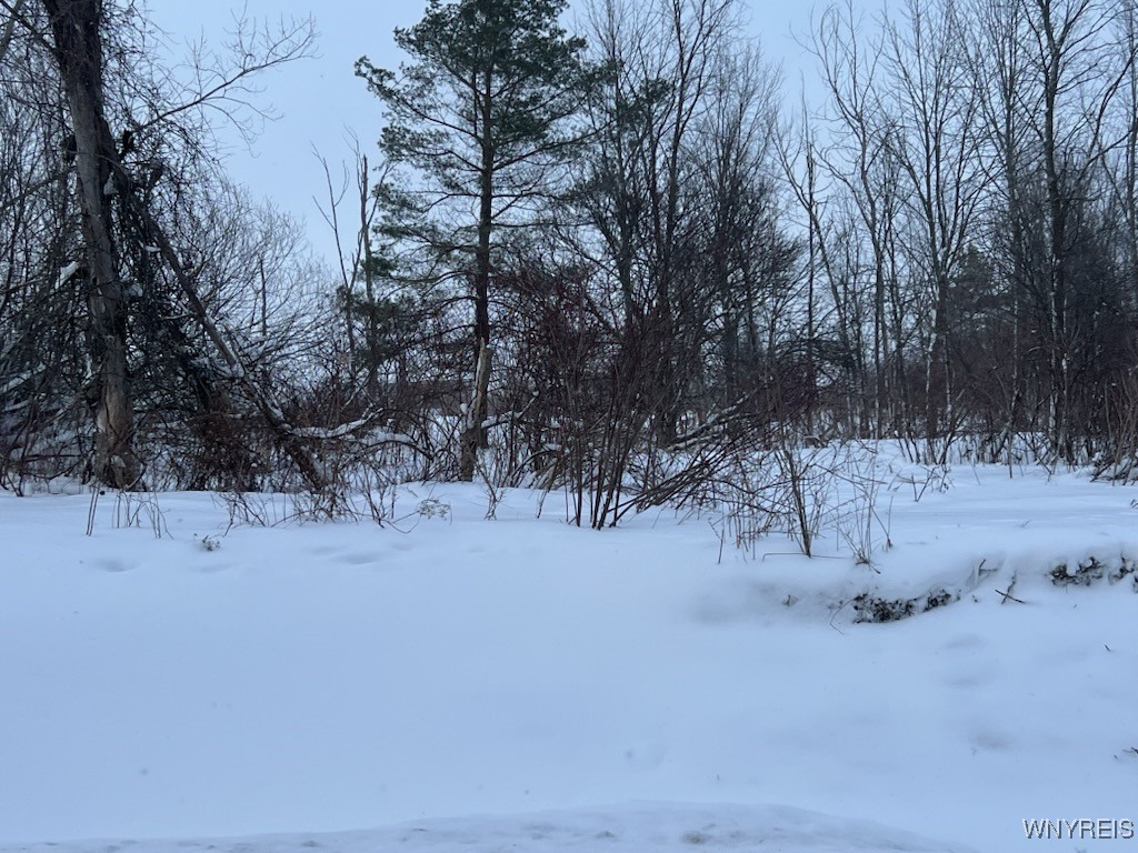 0 North Street Arcade, NY 14009 - Photo 3 of 3