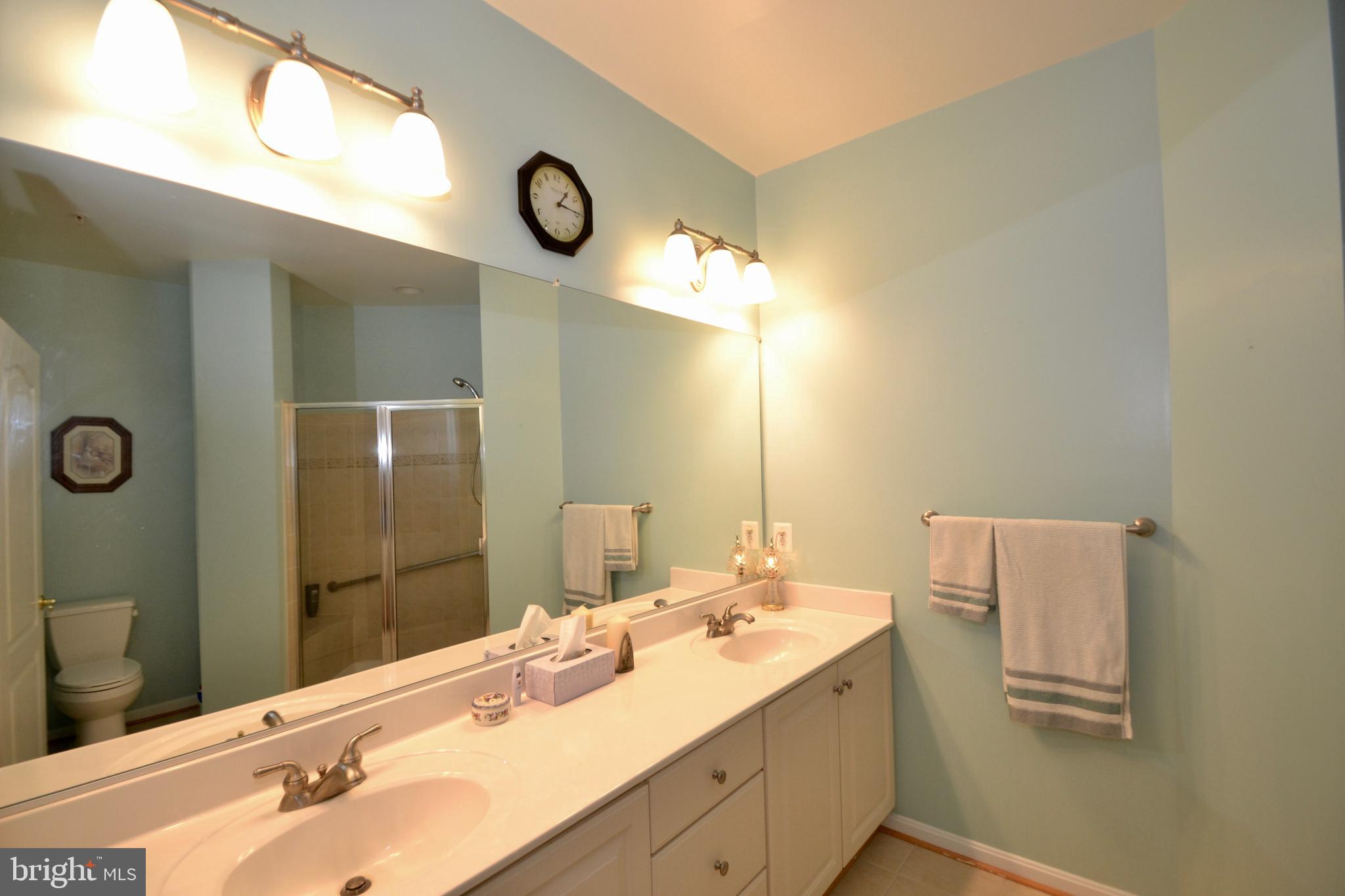 7335 Brookview Road, Unit 206 Elkridge, MD 21075 - Photo 18 of 37 Master Bath w/ Huge Vanity