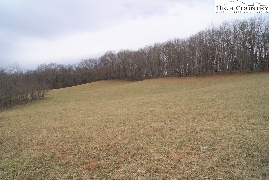 93 Fox Knob Road Sparta, NC 28675 - Photo 1 of 15 Gallery Image 1