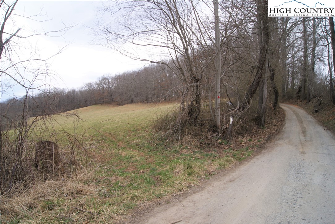 93 Fox Knob Road Sparta, NC 28675 - Photo 13 of 15 Gallery Image 13