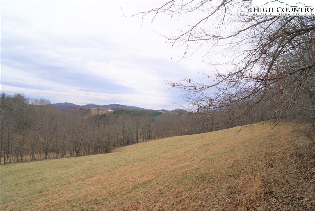 93 Fox Knob Road Sparta, NC 28675 - Photo 5 of 15 Gallery Image 5
