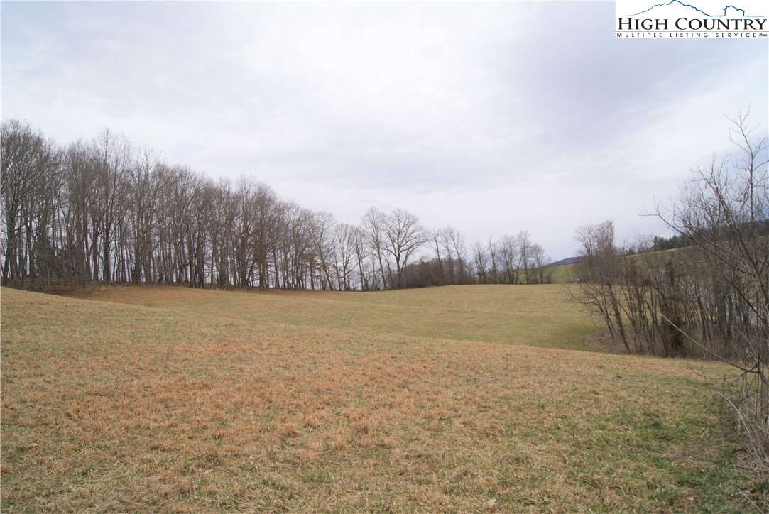 93 Fox Knob Road Sparta, NC 28675 - Photo 6 of 15 Gallery Image 6