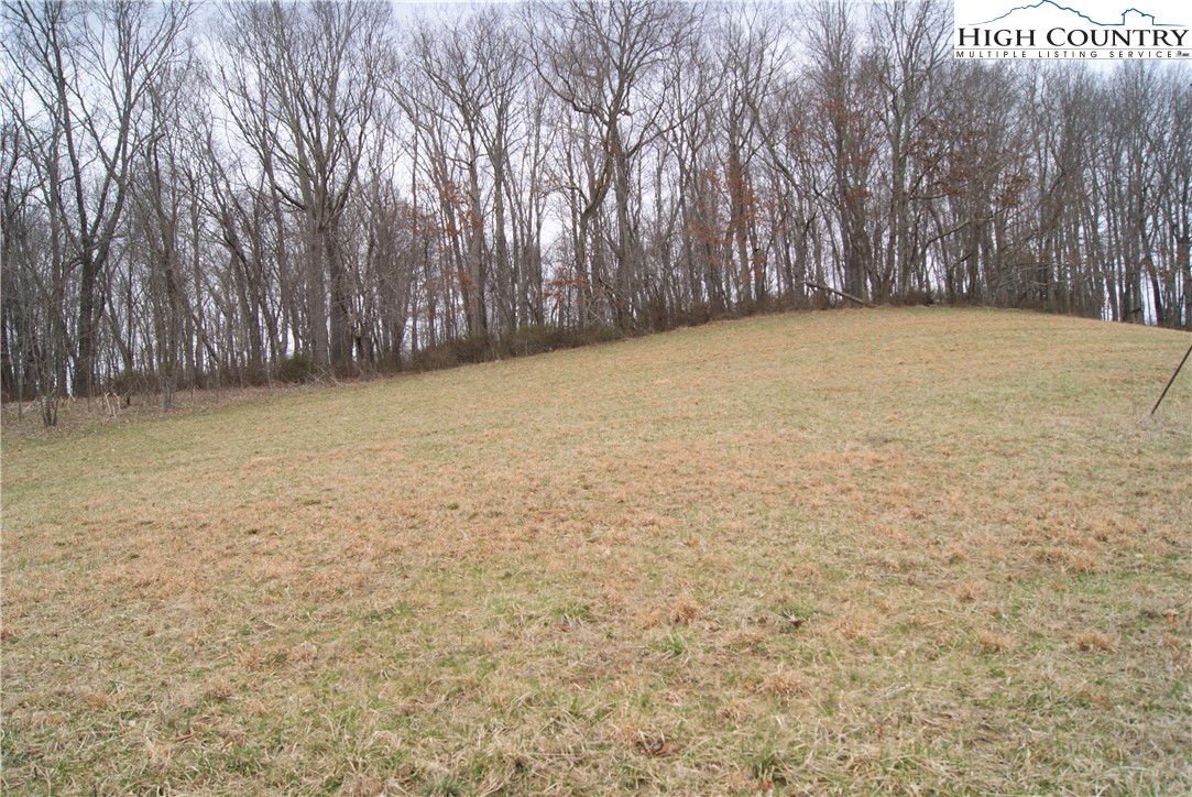 93 Fox Knob Road Sparta, NC 28675 - Photo 7 of 15 Gallery Image 7
