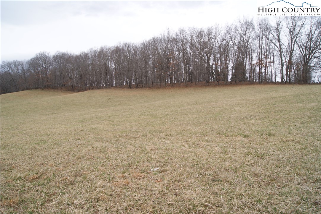 93 Fox Knob Road Sparta, NC 28675 - Photo 10 of 15 Gallery Image 10