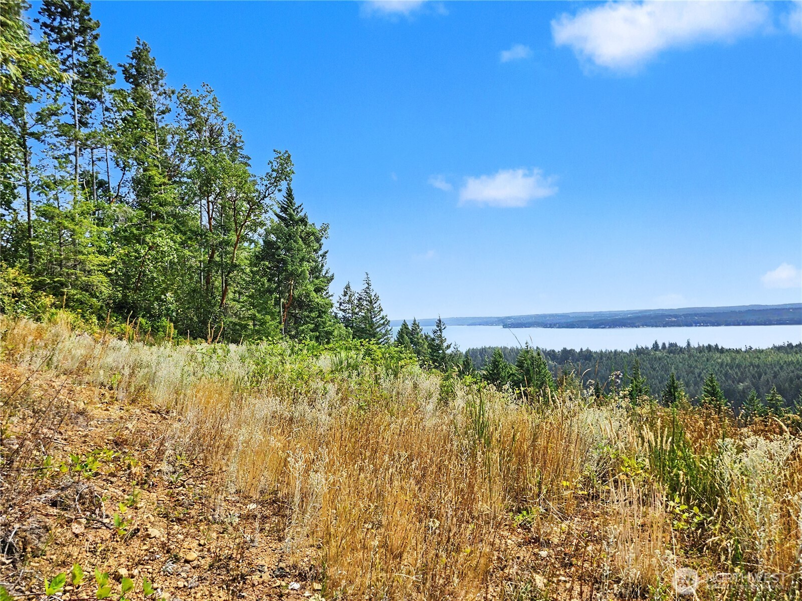 646 Madrona Ridge Drive Brinnon, WA 98320 - Photo 30 of 34 Gallery Image 30