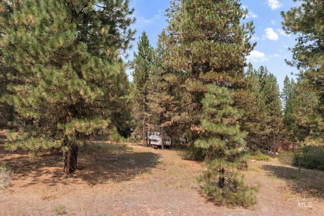 $199,900 | 102 Nelsen Avenue, Idaho City, ID 83631