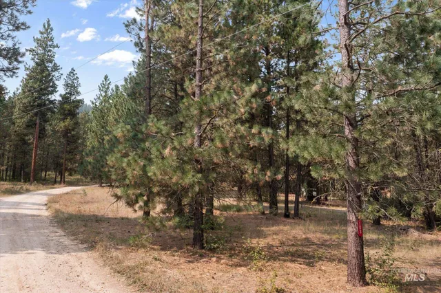 $199,900 | 102 Nelsen Avenue, Idaho City, ID 83631