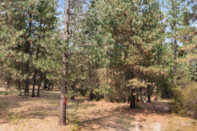 $199,900 | 102 Nelsen Avenue, Idaho City, ID 83631