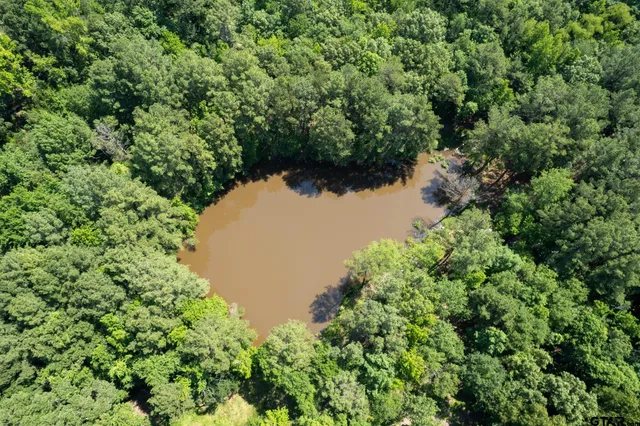 $995,000 | 562 Cr 2421 Leesburg Tx 75451, Leesburg, TX 75451