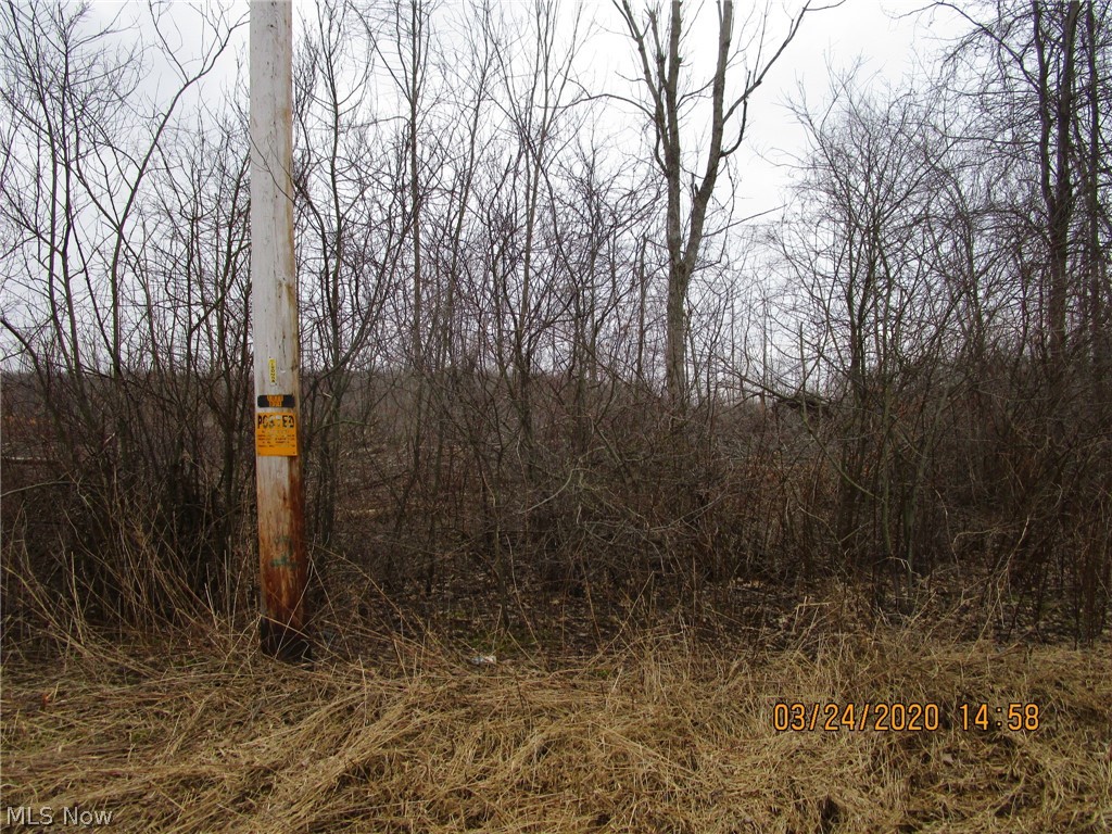 0 Depot Road Ashtabula, OH 44004 - Photo 3 of 10
