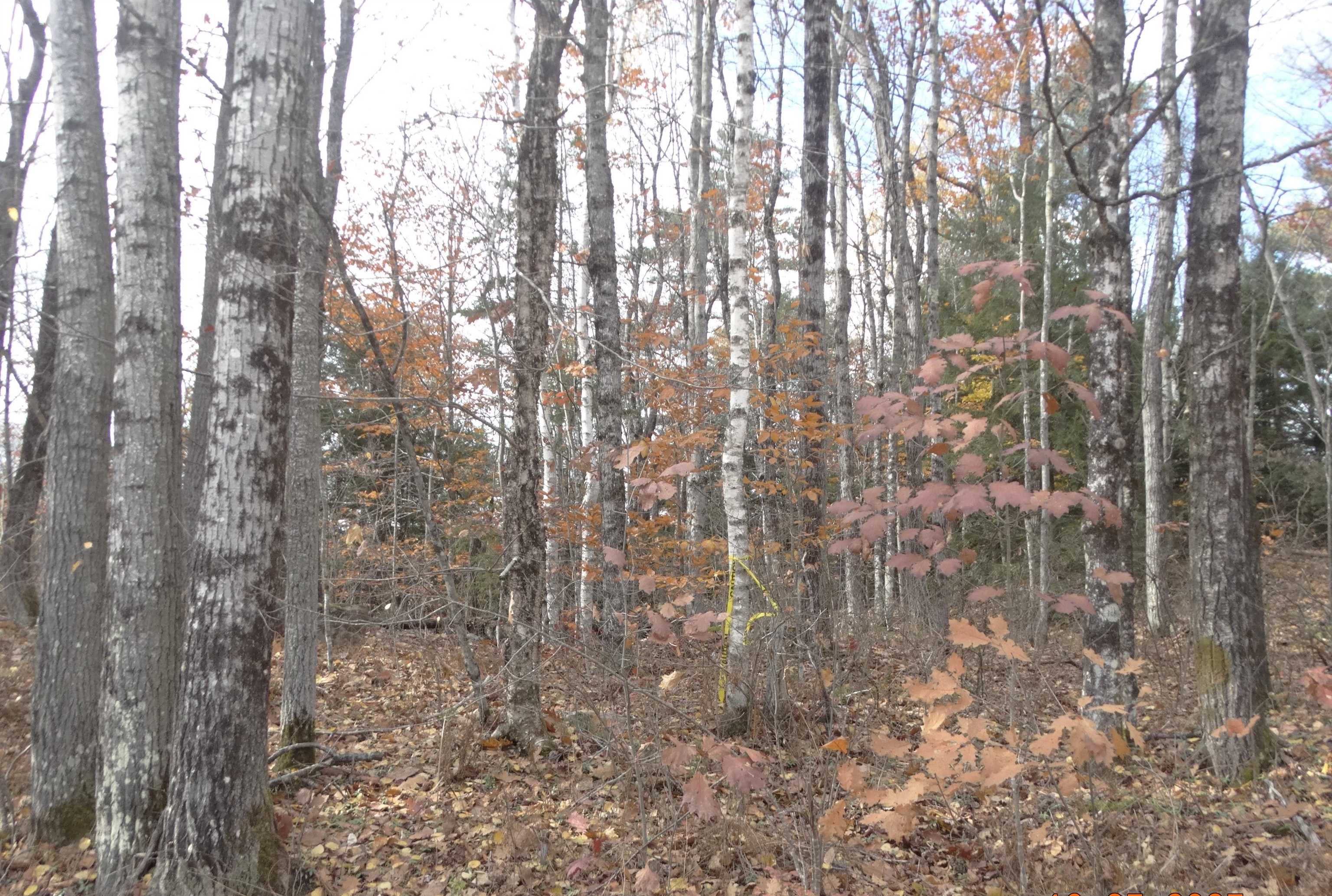 0 Washington Road Marlow, NH 03456 - Photo 9 of 10