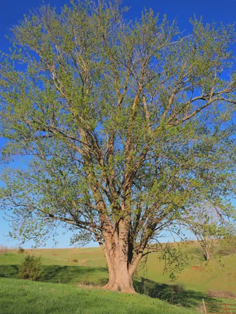 $649,000 | 15700 North Imbus Lane, East Dubuque, IL 61025