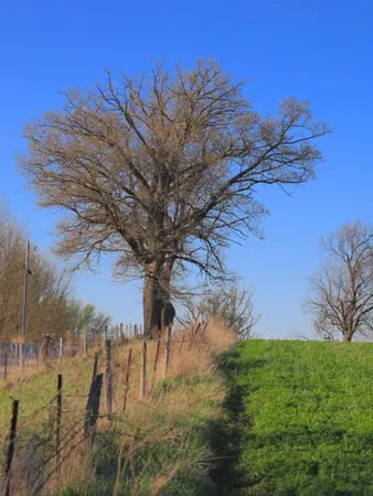 $649,000 | 15700 North Imbus Lane, East Dubuque, IL 61025