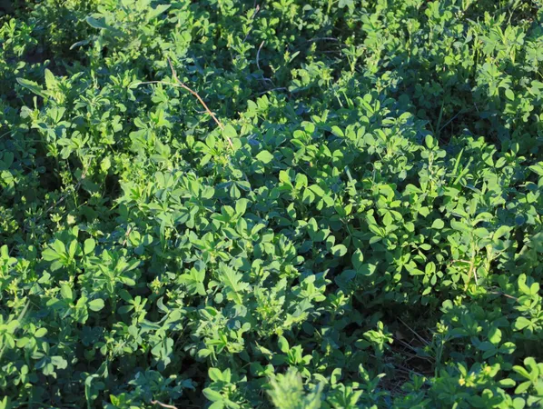 $649,000 | 15700 North Imbus Lane, East Dubuque, IL 61025